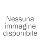 Formaggi